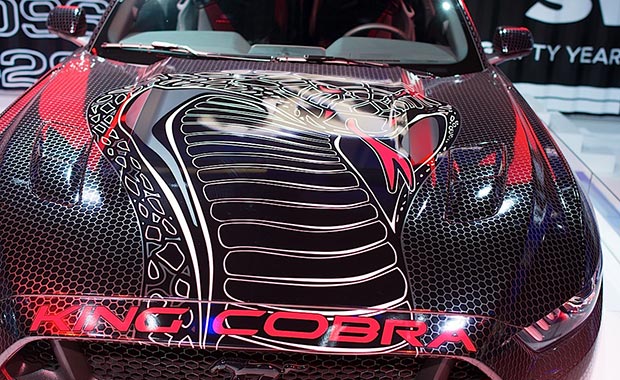 2015 Ford Mustang GT King Cobra4